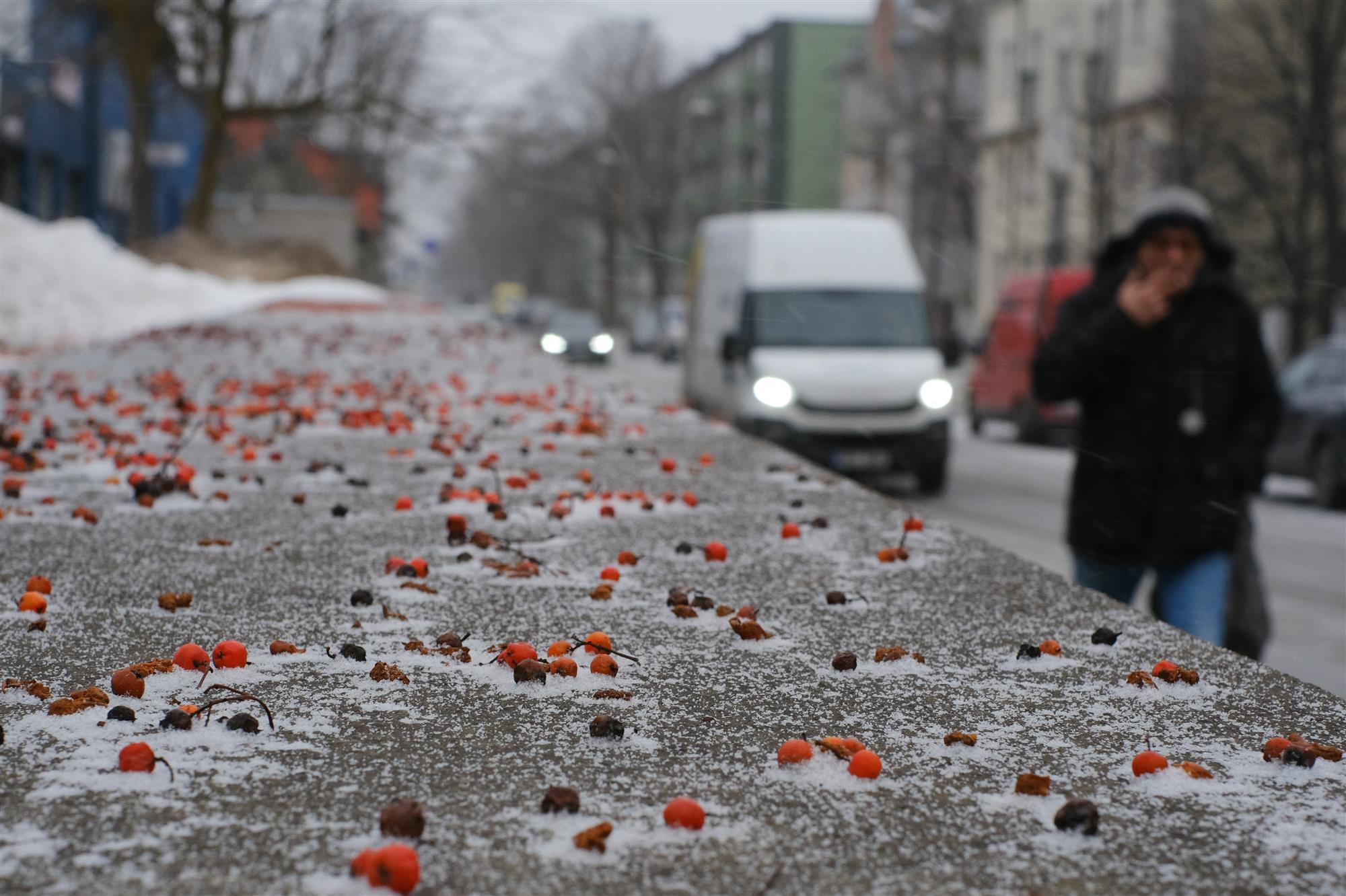 Keskkonnakriis ja t&auml;henduslik elu