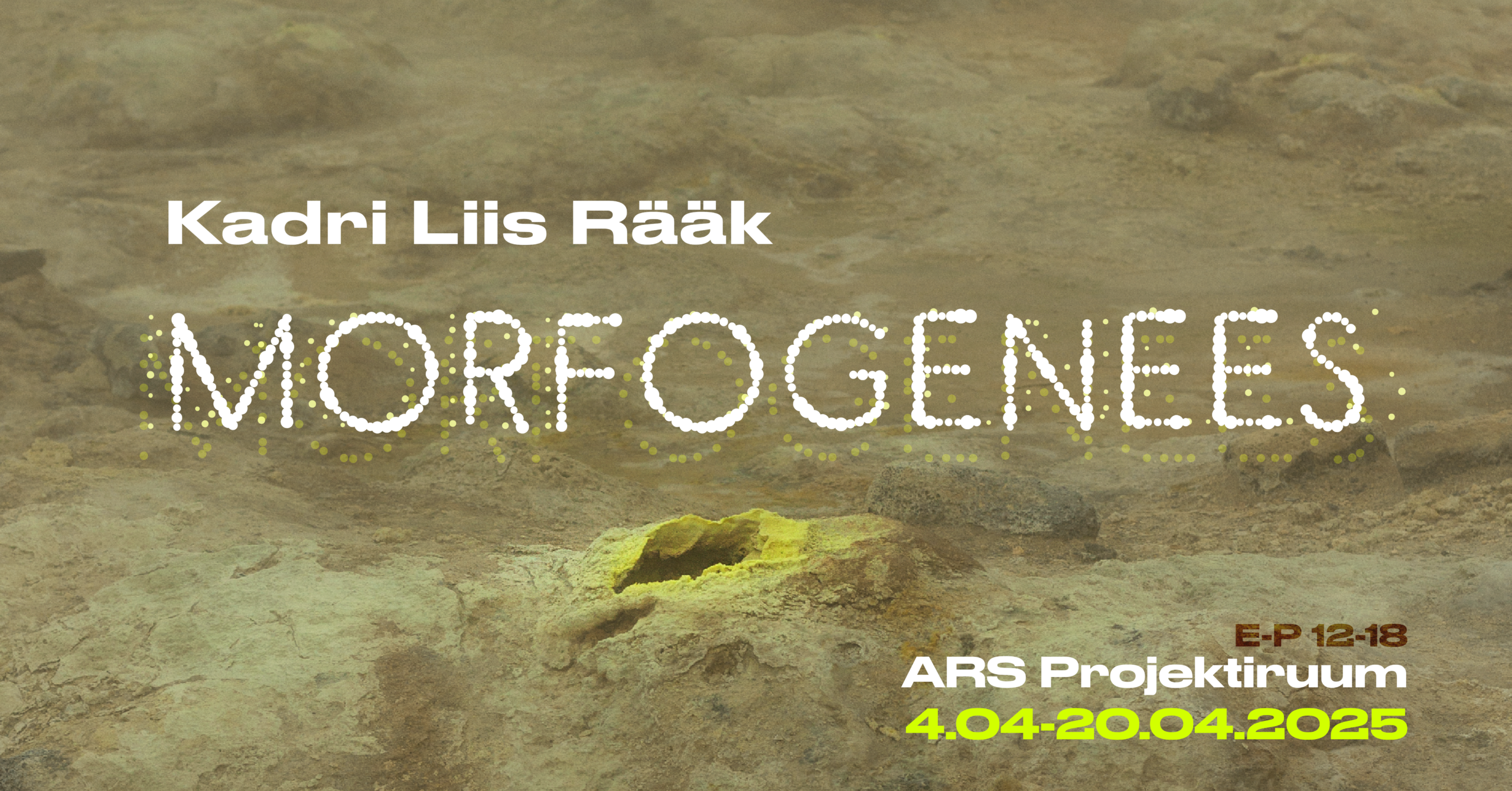 Kadri Liis Räägu näitus „Morfogenees“ ARSi Projektiruumis