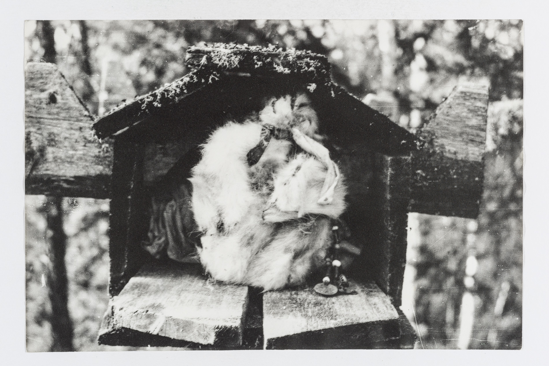 Kuidas soomeugrilaste konte korjati