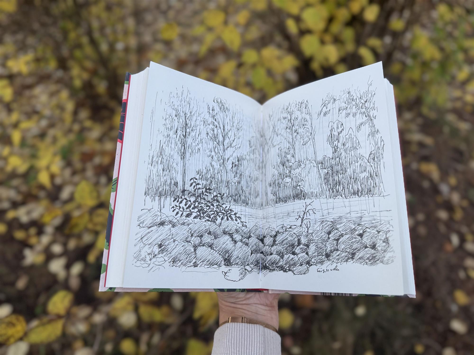 XXI sajandi mõtteeksperiment kolme Kõrbojaga