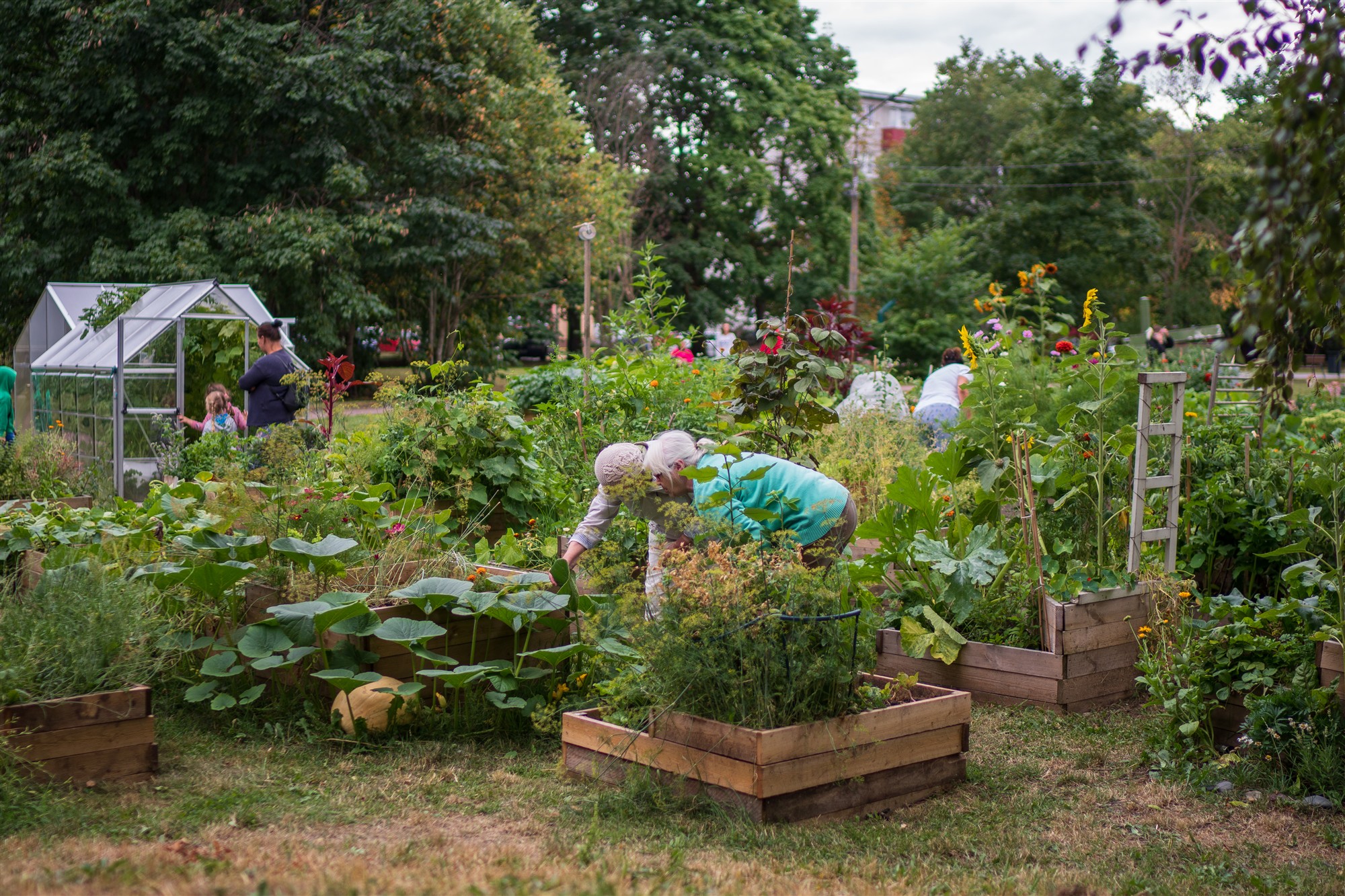 Toidu kasvatamine linnas kui tulevikku vaatav kultuuripraktika