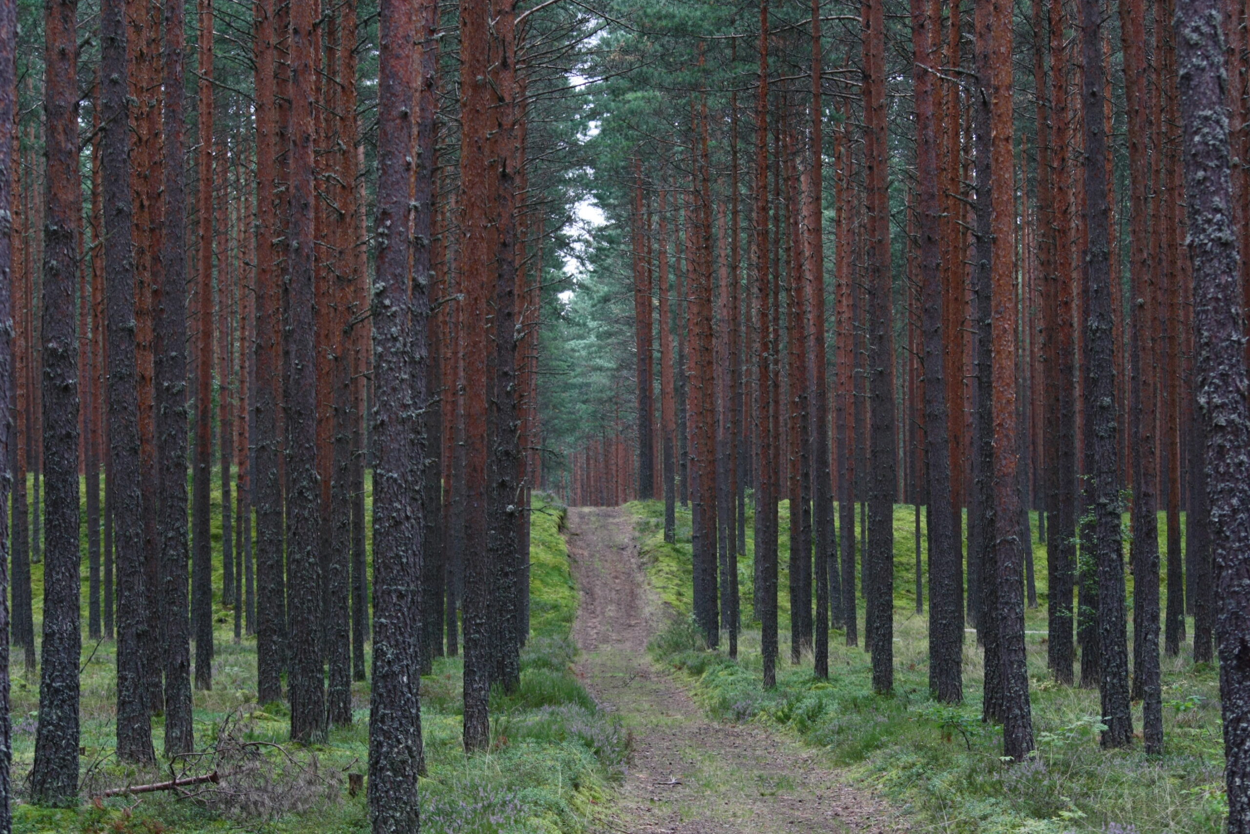 Lõputu kasum ei peaks olema inimõigus