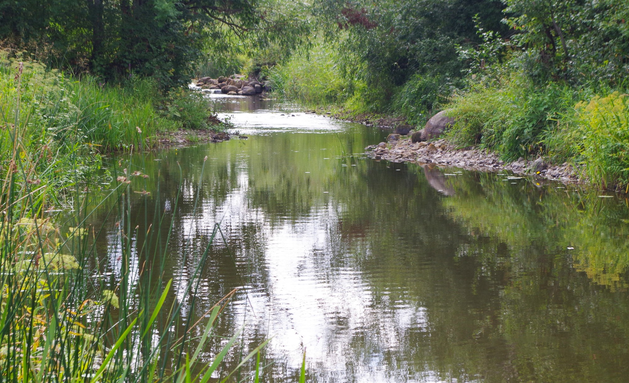 Üleskutse keskkonnasolidaarsusele