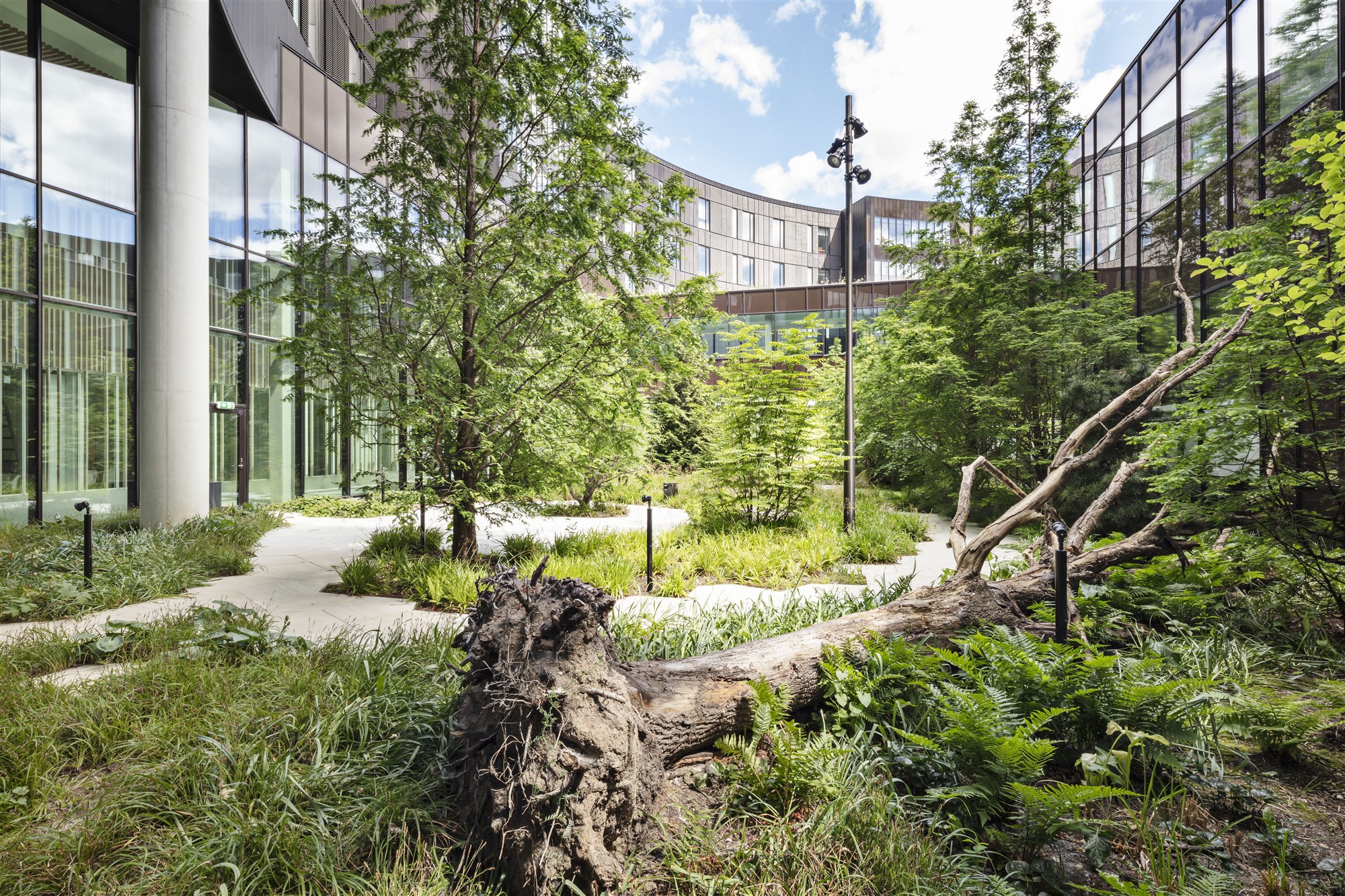 Eesti ruumiloomesse on vaja uut tasakaalu