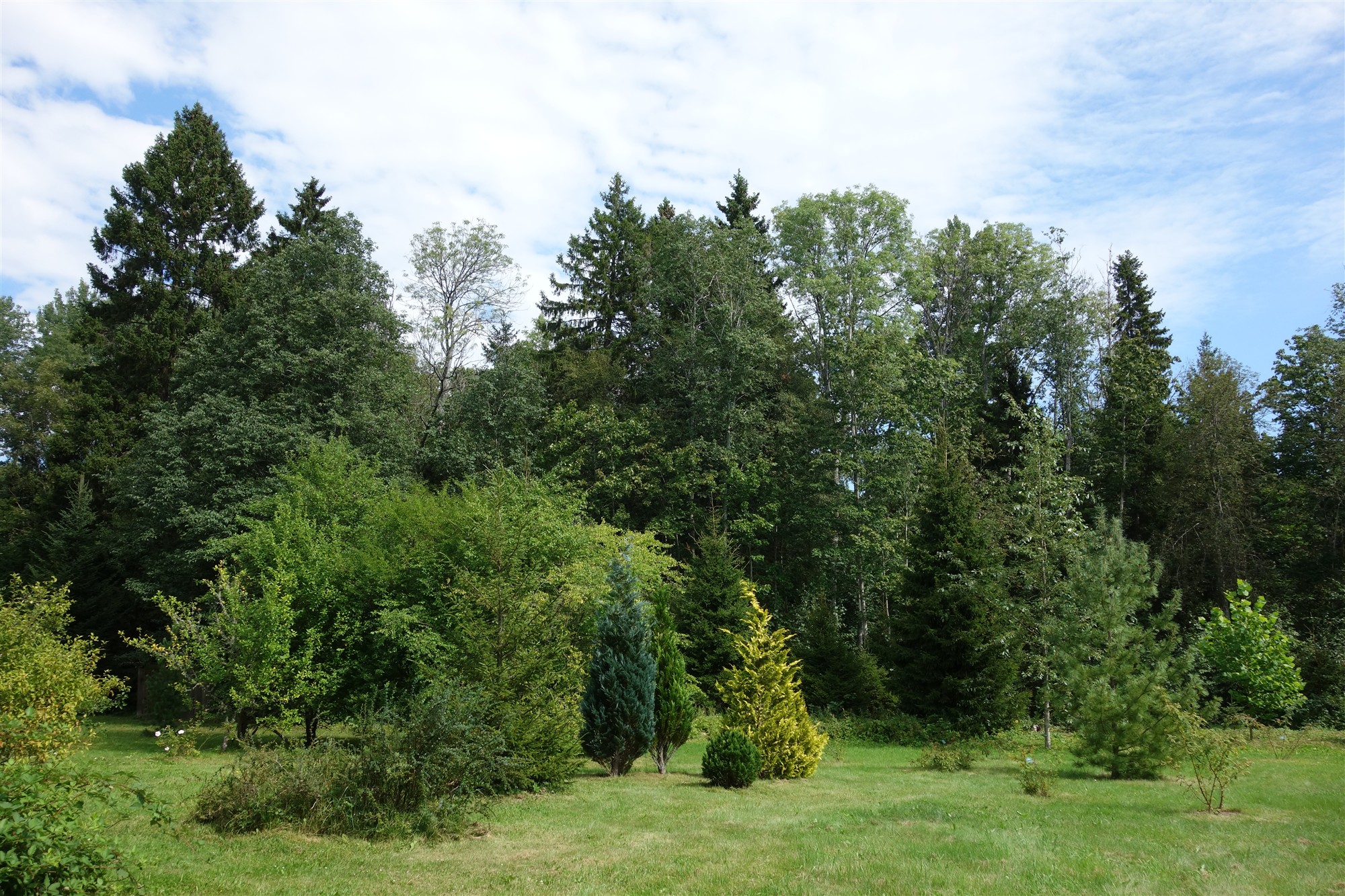 Audaku puude ja põõsaste kollektsioon Saaremaal