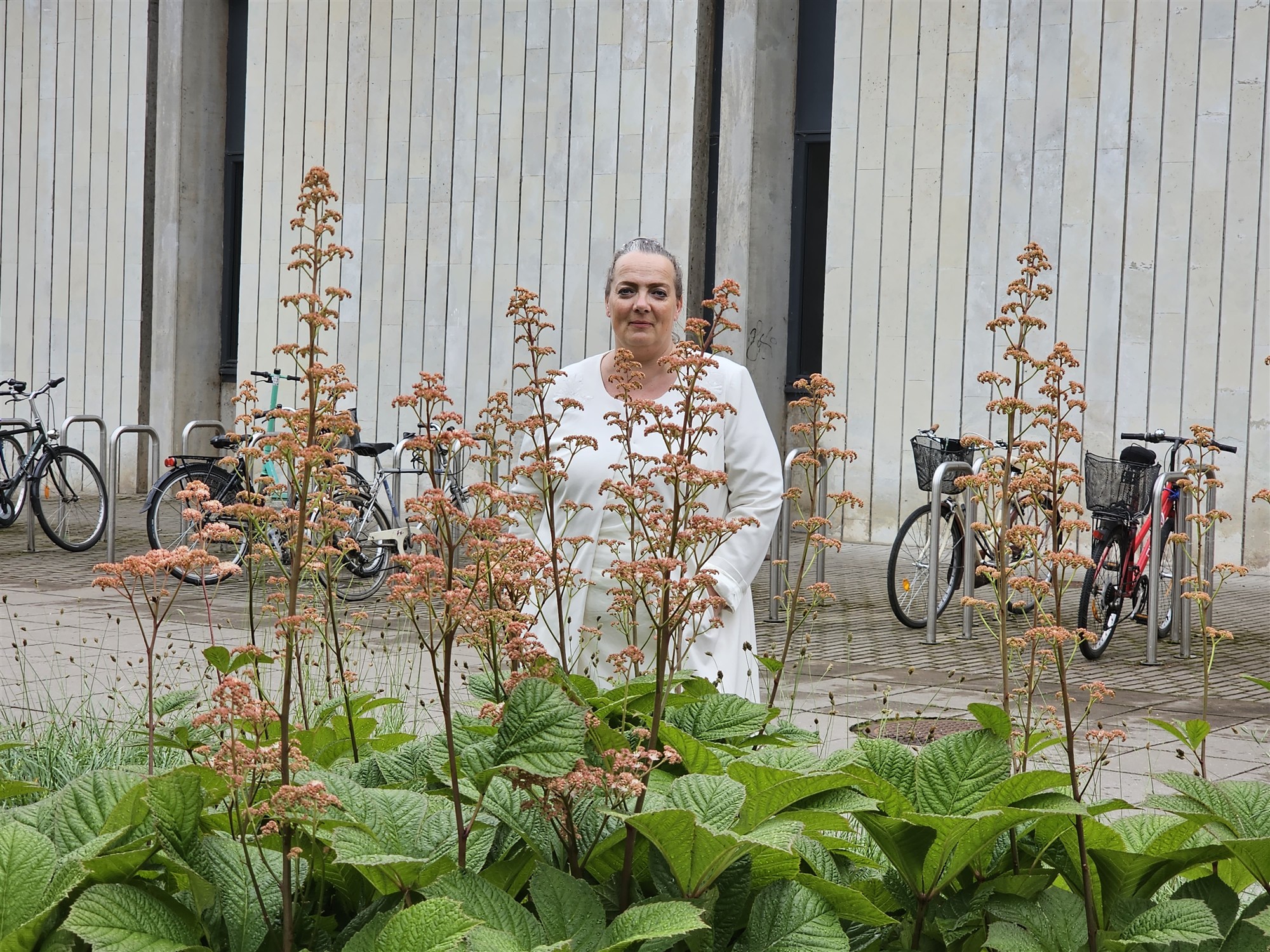 „Vabakutseliste huvikaitse on lihtsalt üks väga suur auk, mis vajab siiani kinni nõelumist.“