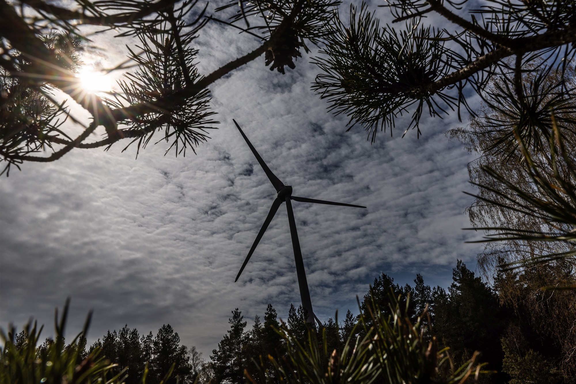 Kohapärimus keskkonnaaruteludes ehk Kelle lugusid me kõneleme?