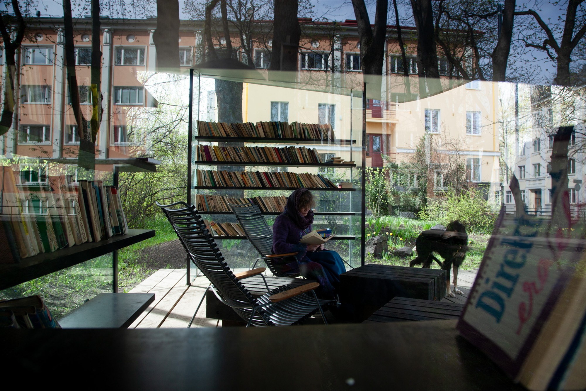 Nõunik Augeiase raamatukogus