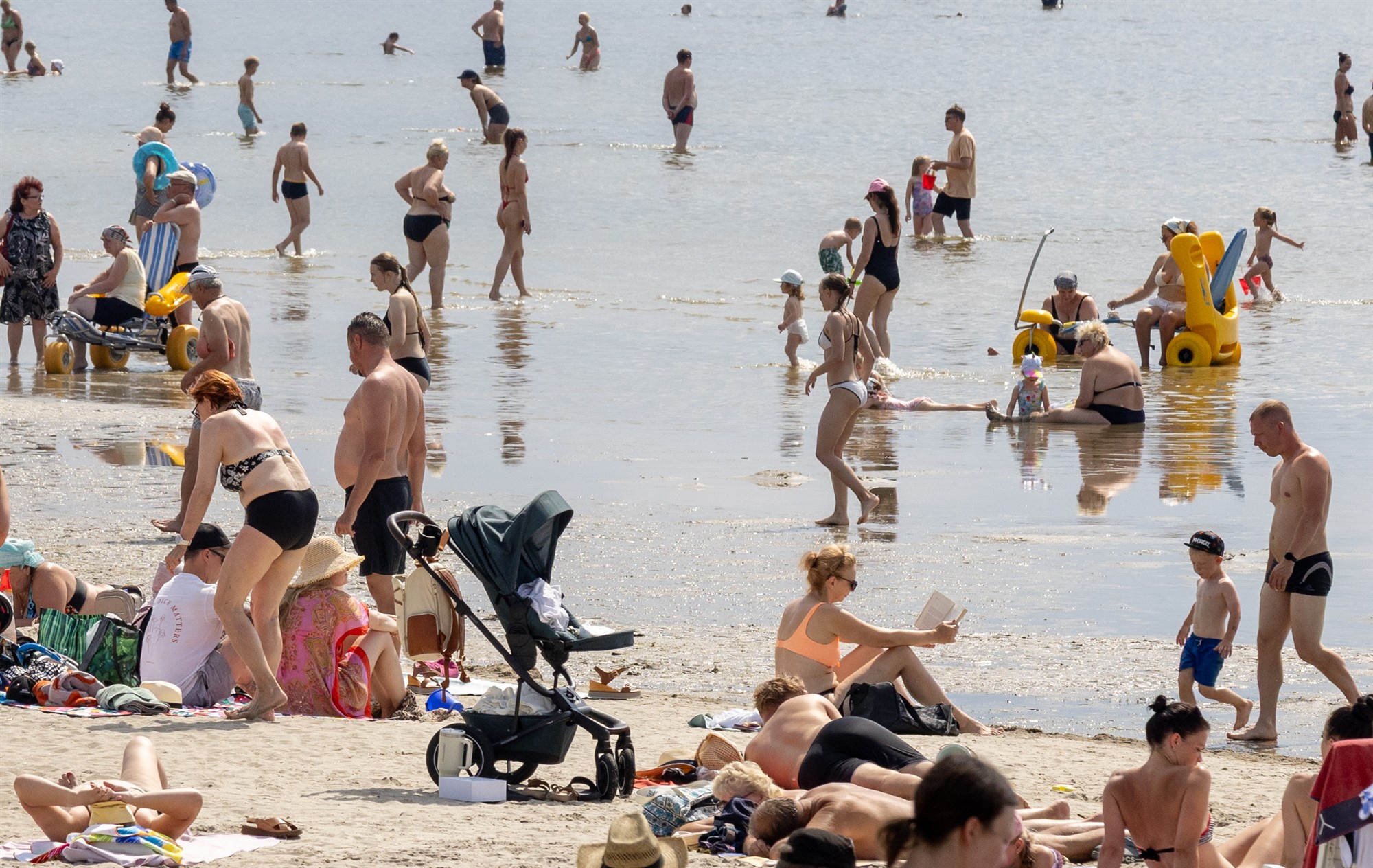 Tehisarule on prille vaja, Eesti prille