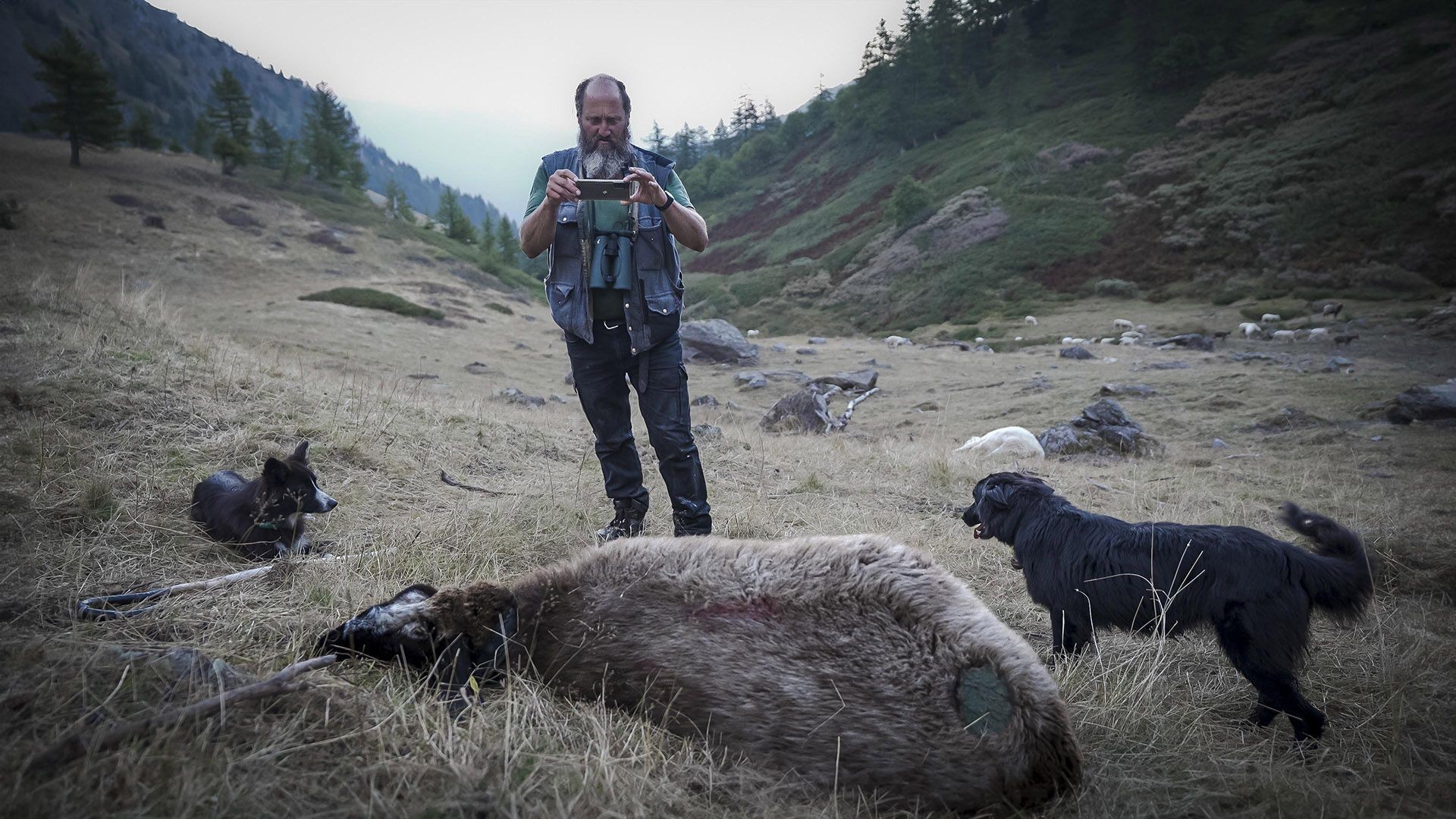 Juustust, huntidest ja pornost – Kumu Dokumentaal avab uue hooaja