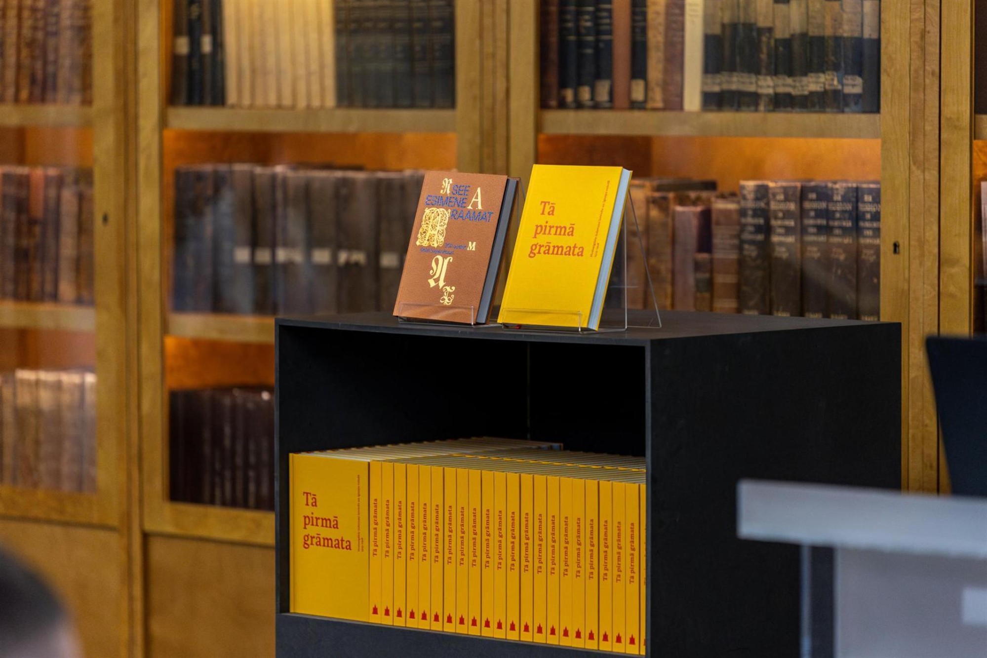 Kuidas t&auml;histatakse raamatuaastat L&auml;tis?