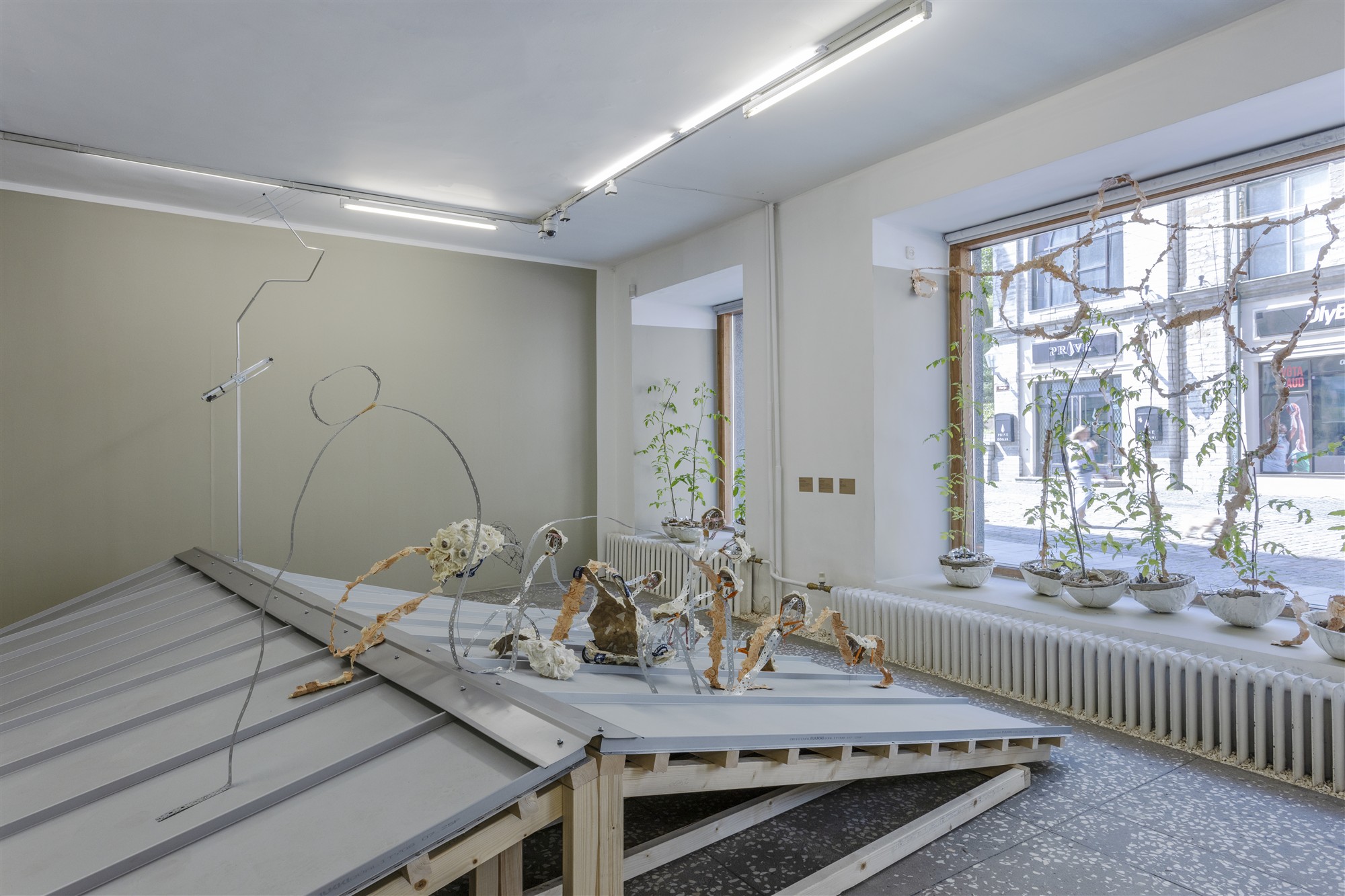 Kellele siis ei l&ouml;&ouml;daks hingekella?