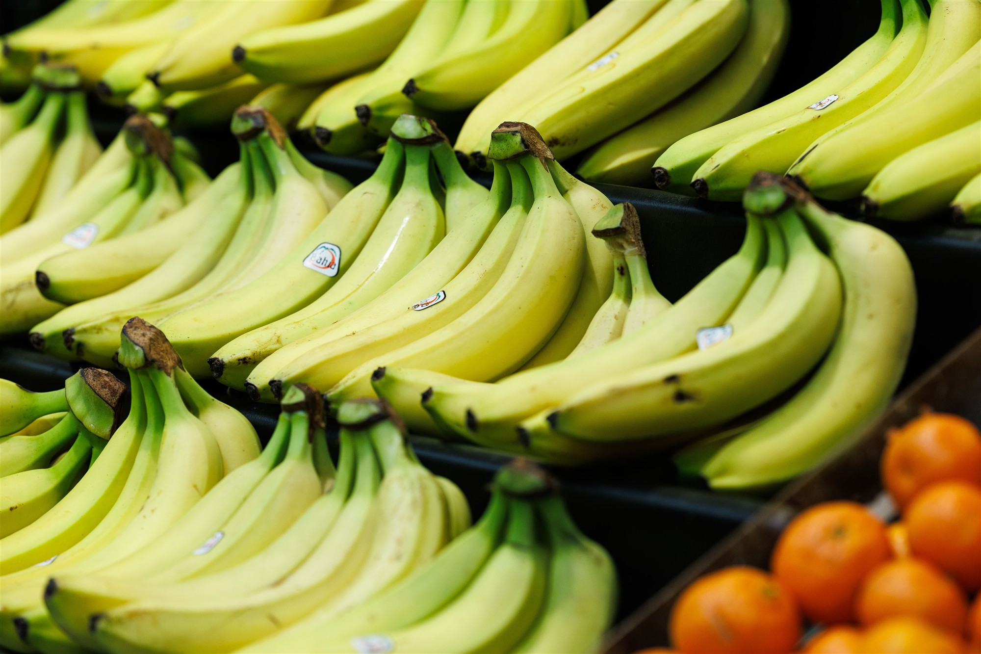 Riigi käsi leivapätsis