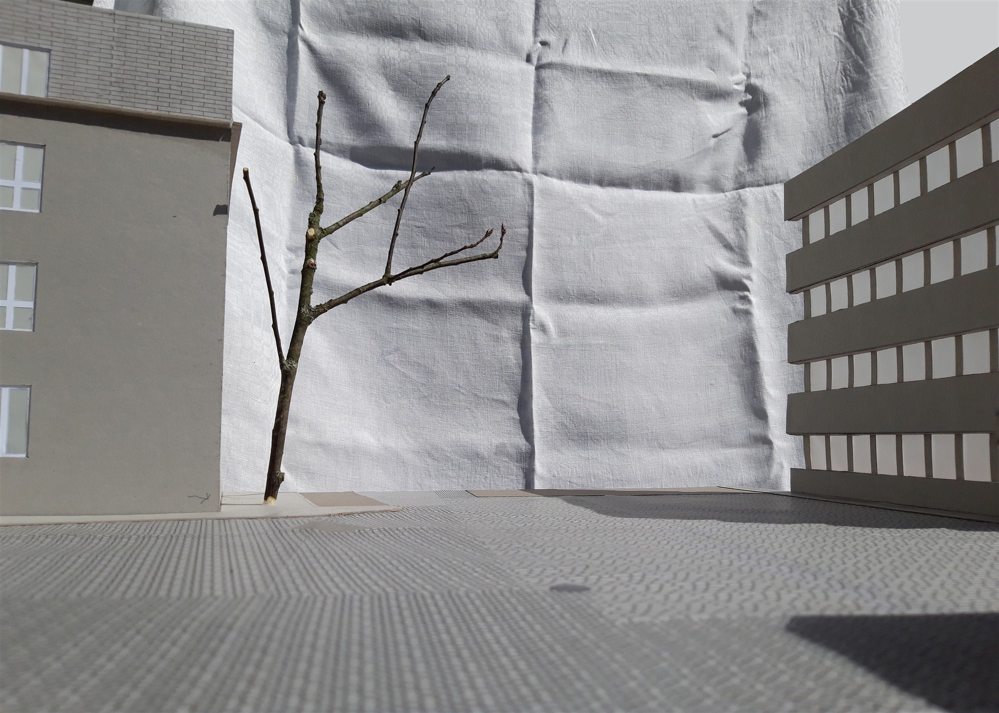 Linn tundlikule meelele