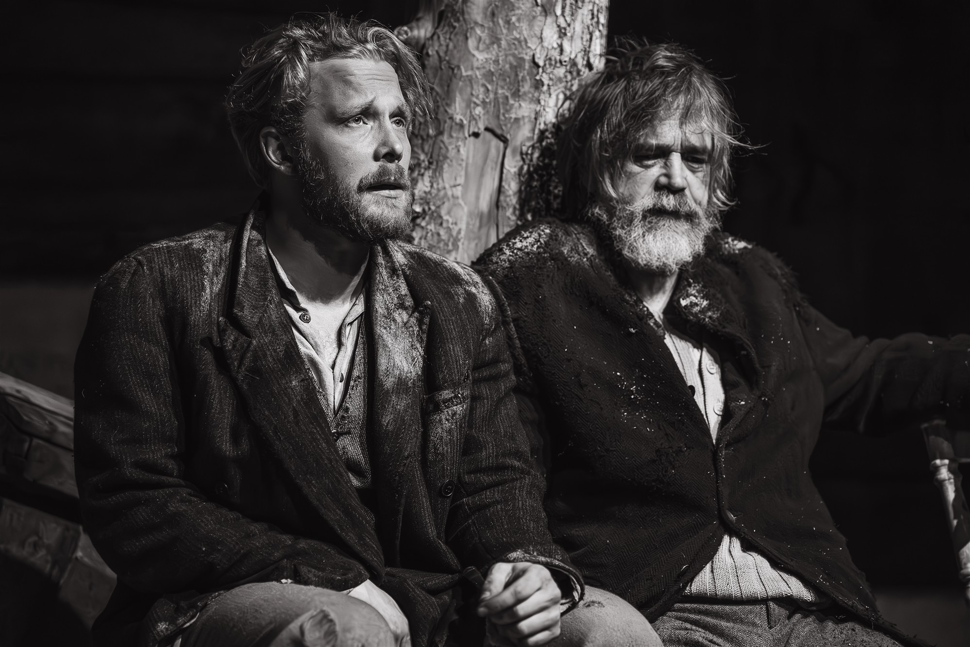 Antiabsurd ja stereotüüp