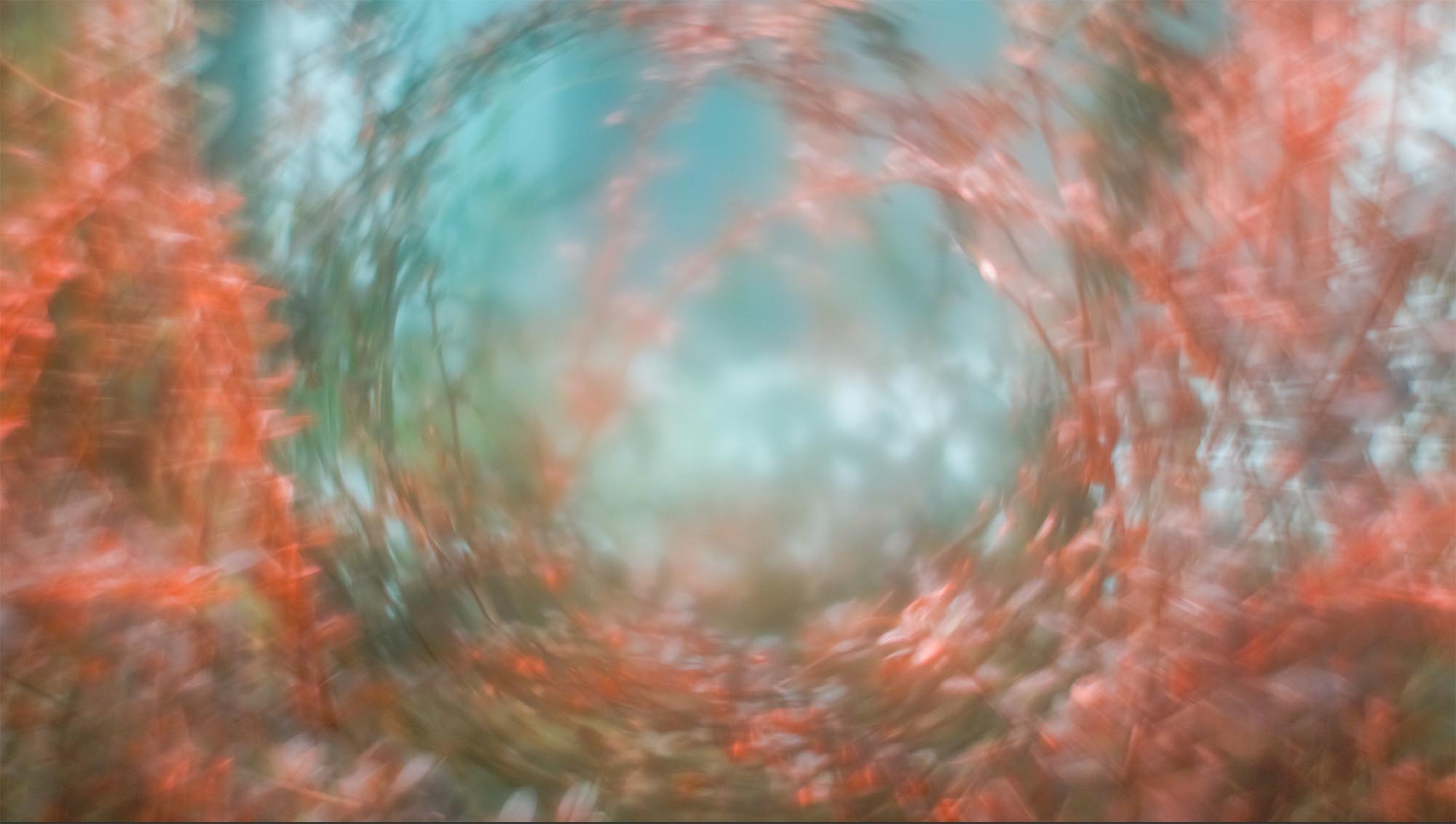 A-Galerii akendel Kadi Veesaar, Nathaniel Lazar ja Maria Kiialainen