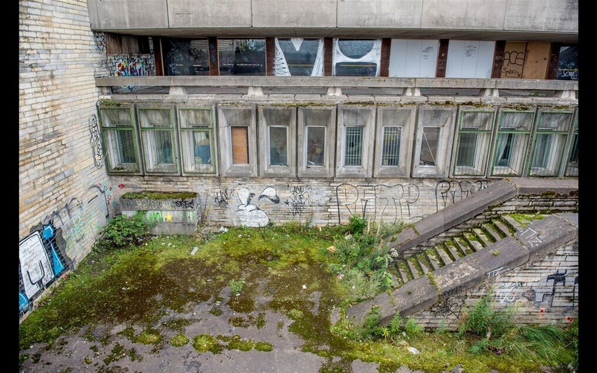 Unistus metsikust linnast