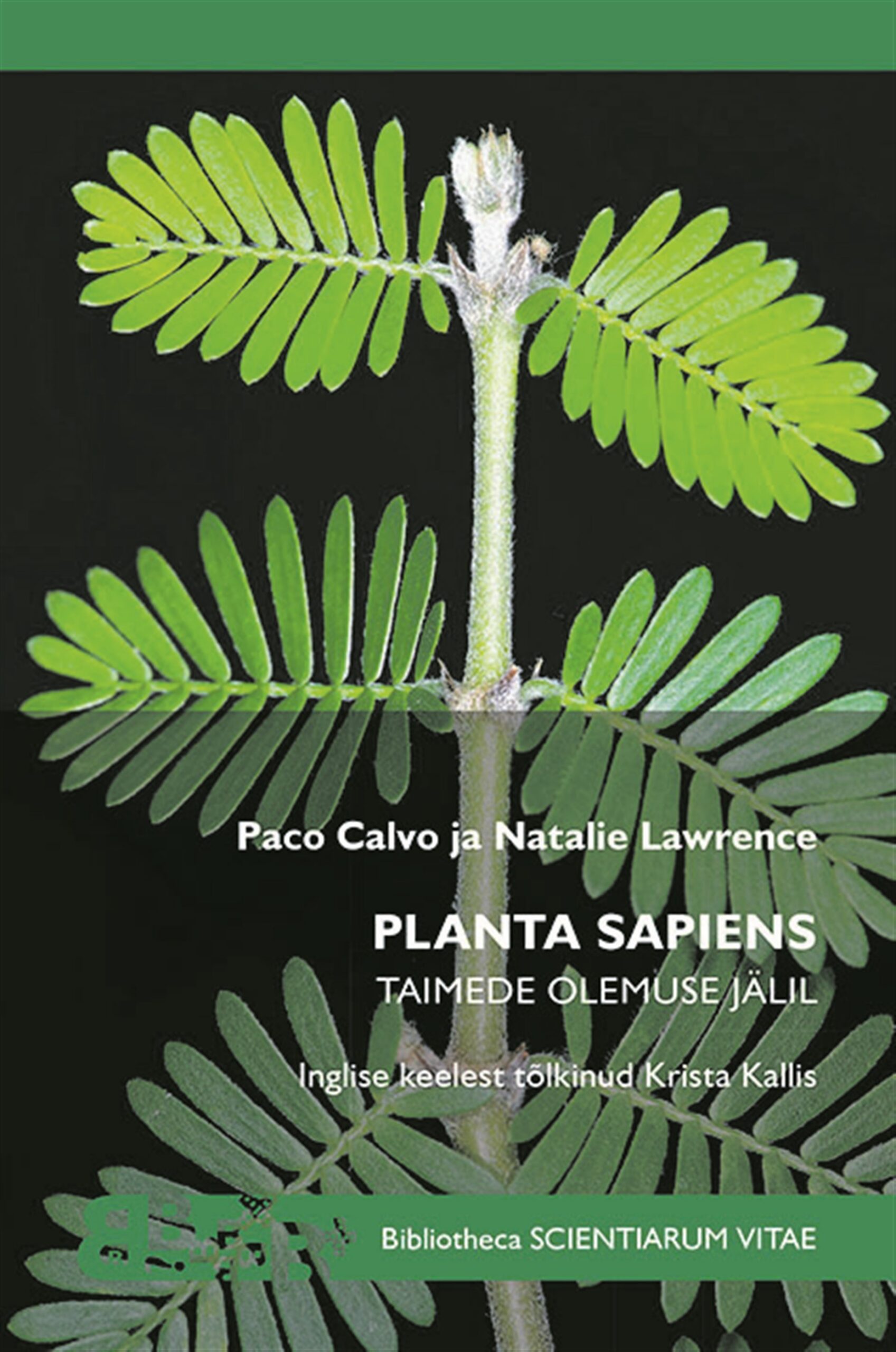 Taimem&otilde;tlemine