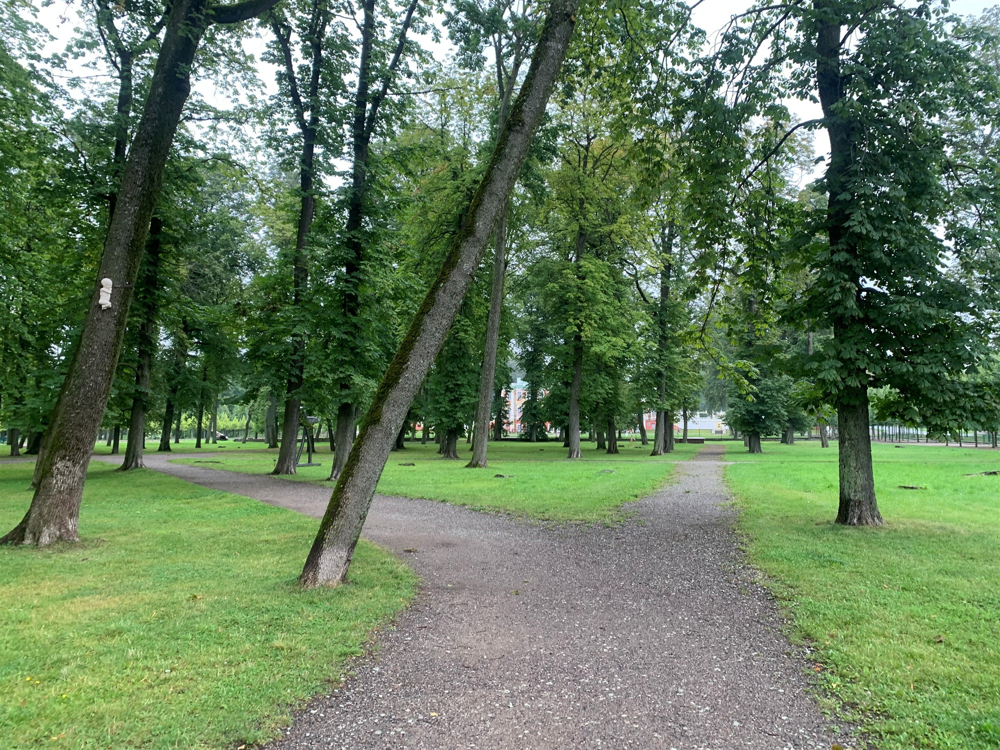 Kui vanalt hakkavad puud inimesega k&otilde;nelema?