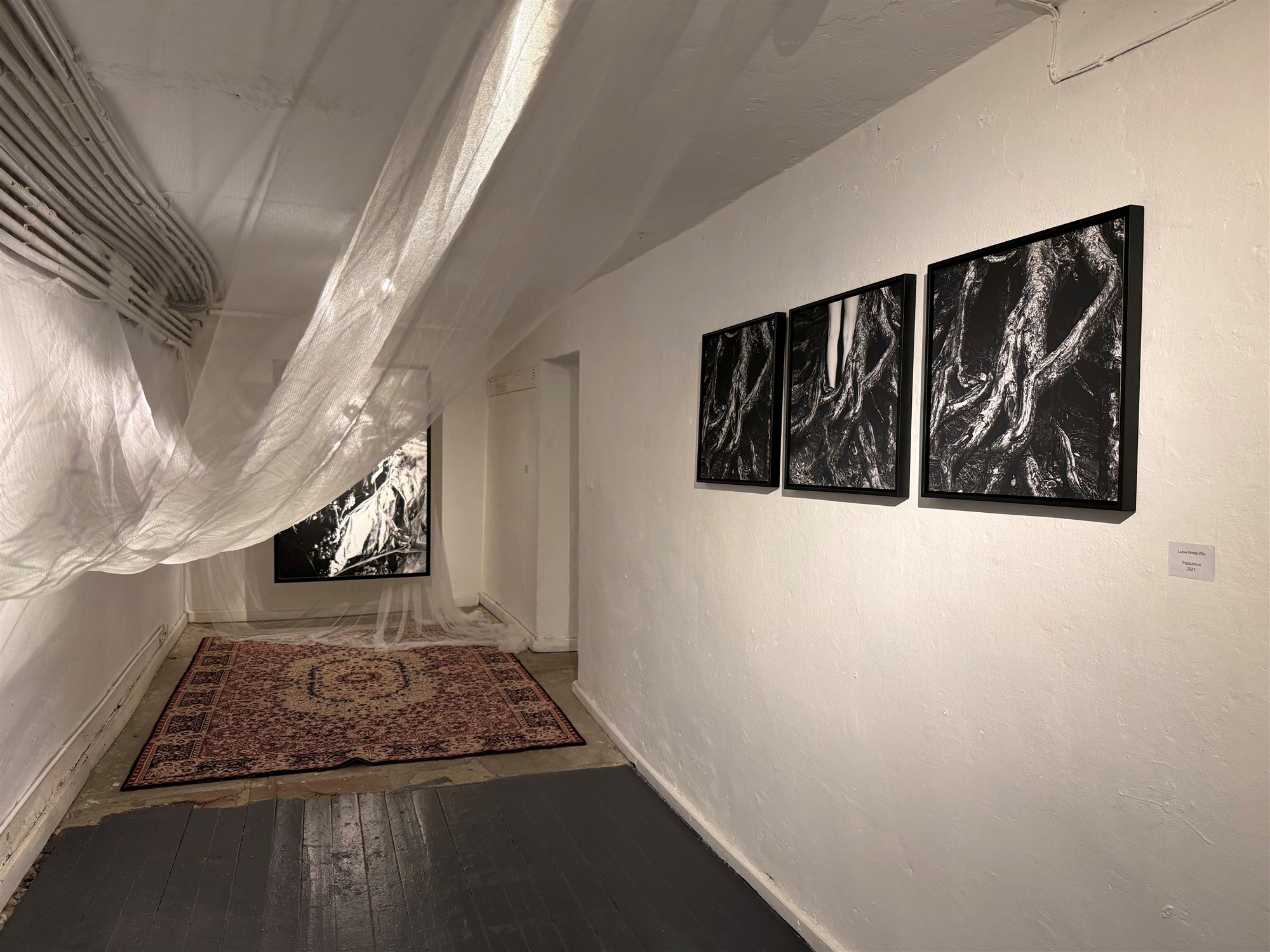 Igatsus ja soov hajuda