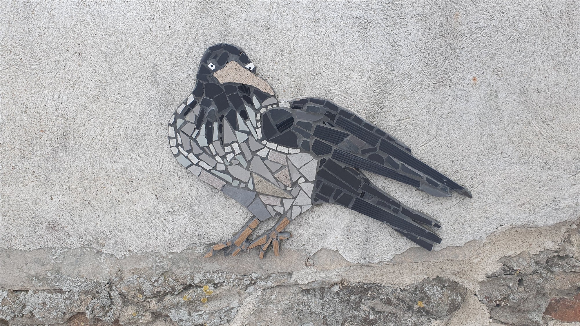 Linna linnukooslus – kuidas see meid puudutab?