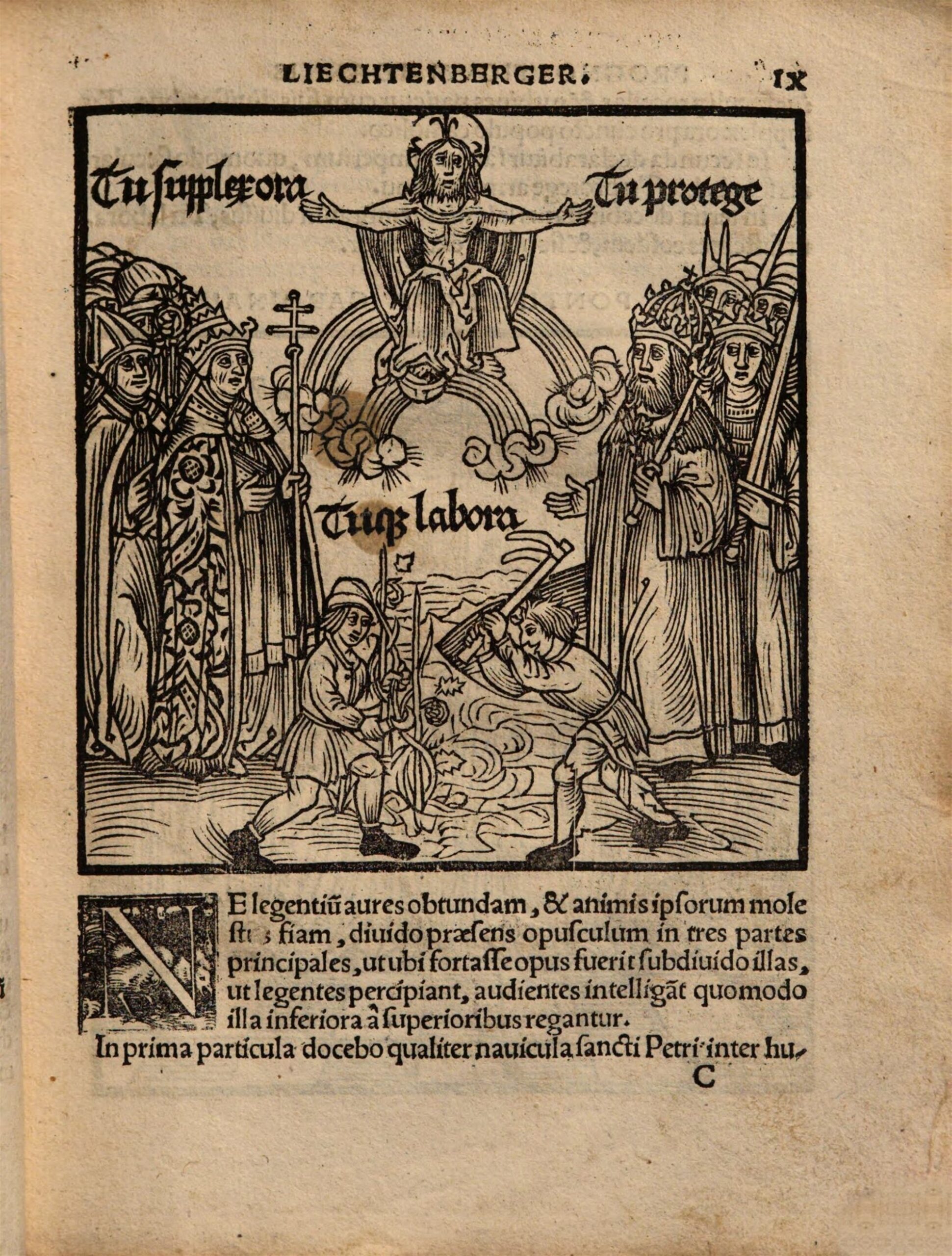 Osa meist ei võta meiena isegi keskaegseid tallinlasi