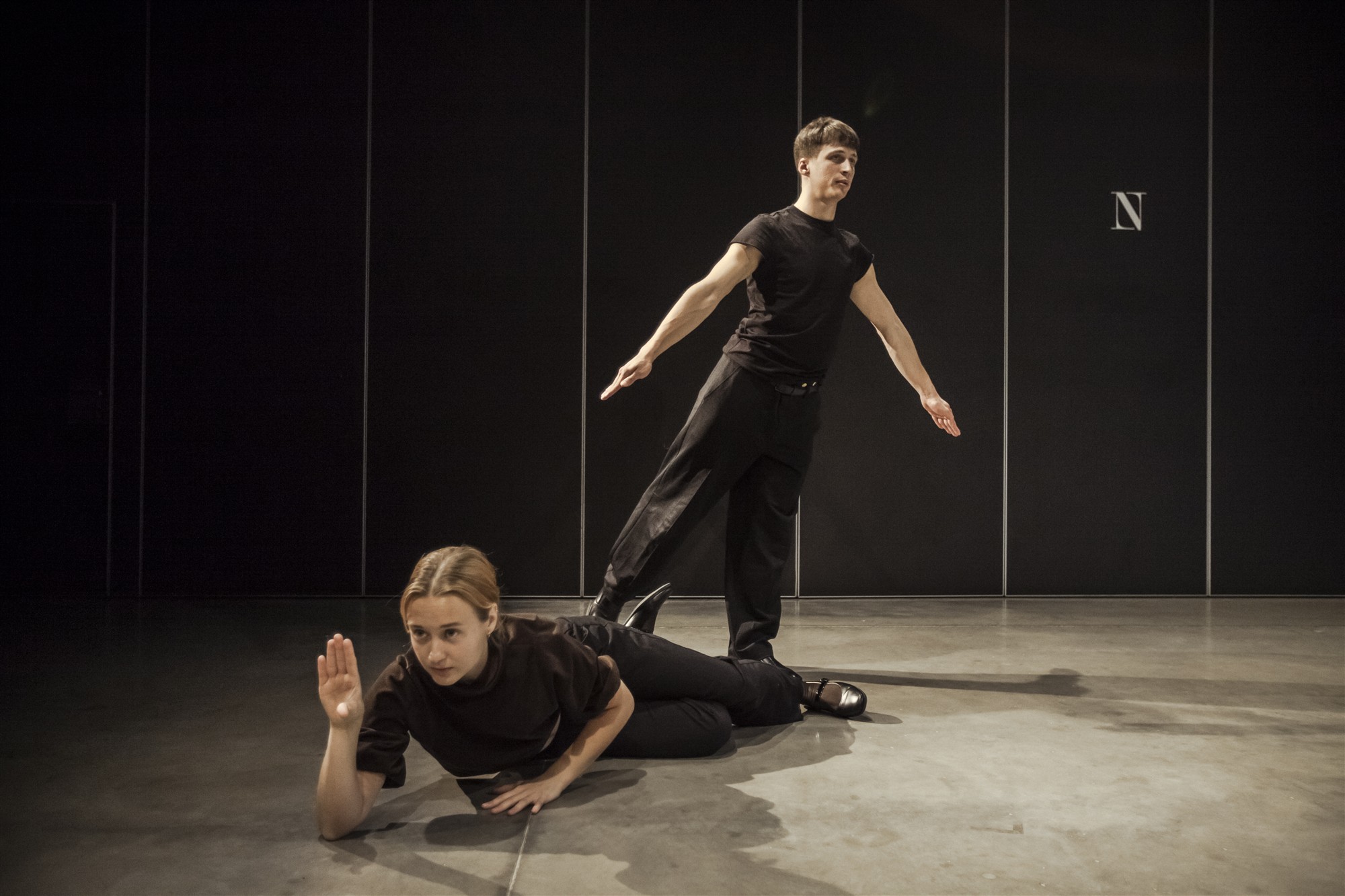 Värvitud hobused magavad raevukalt1