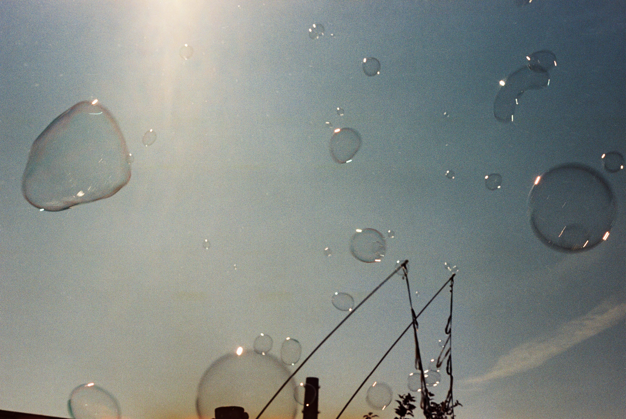 Anna-Liisa Kree näitus „Suvi on vaid meeleseisund”