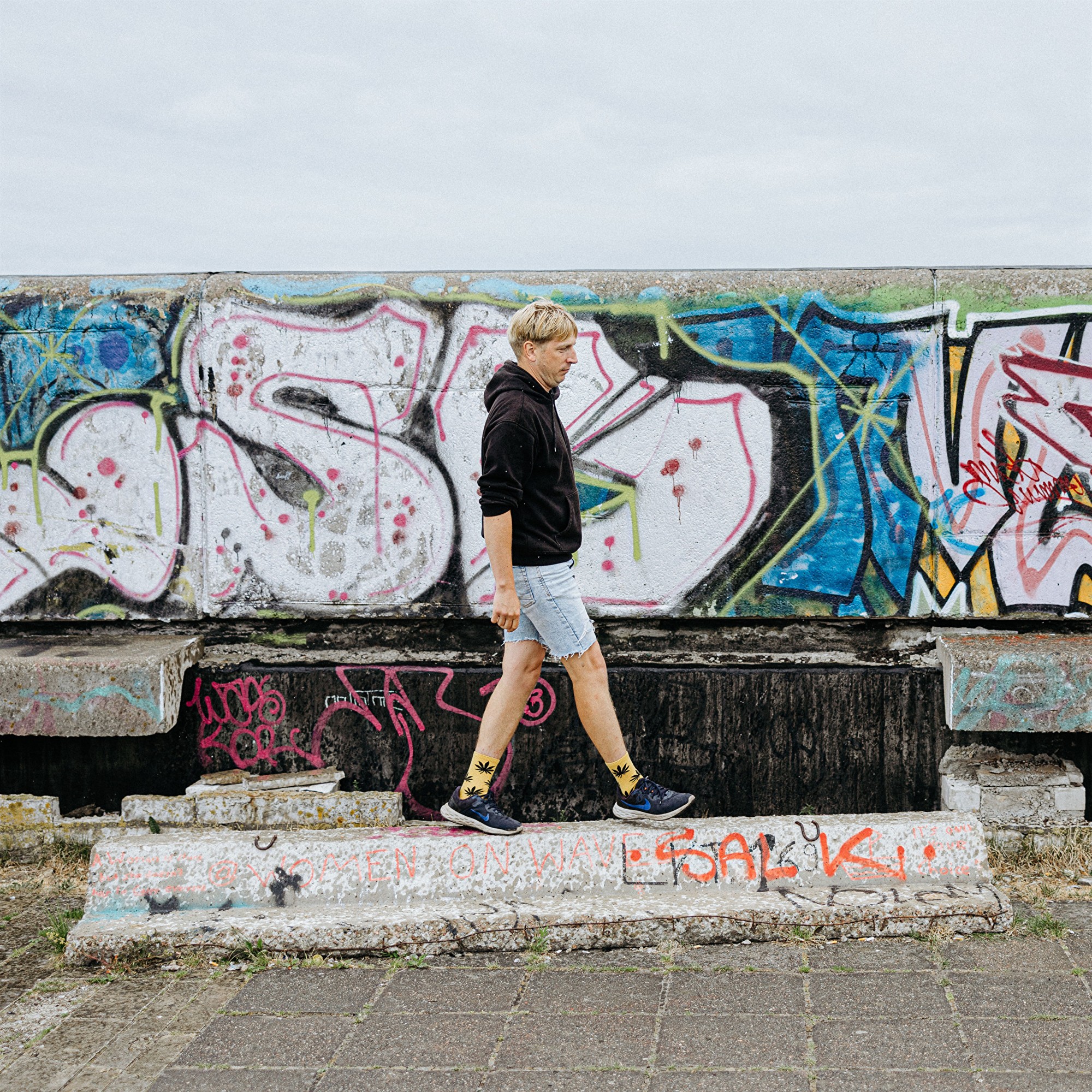 V&auml;ike eesti romaan