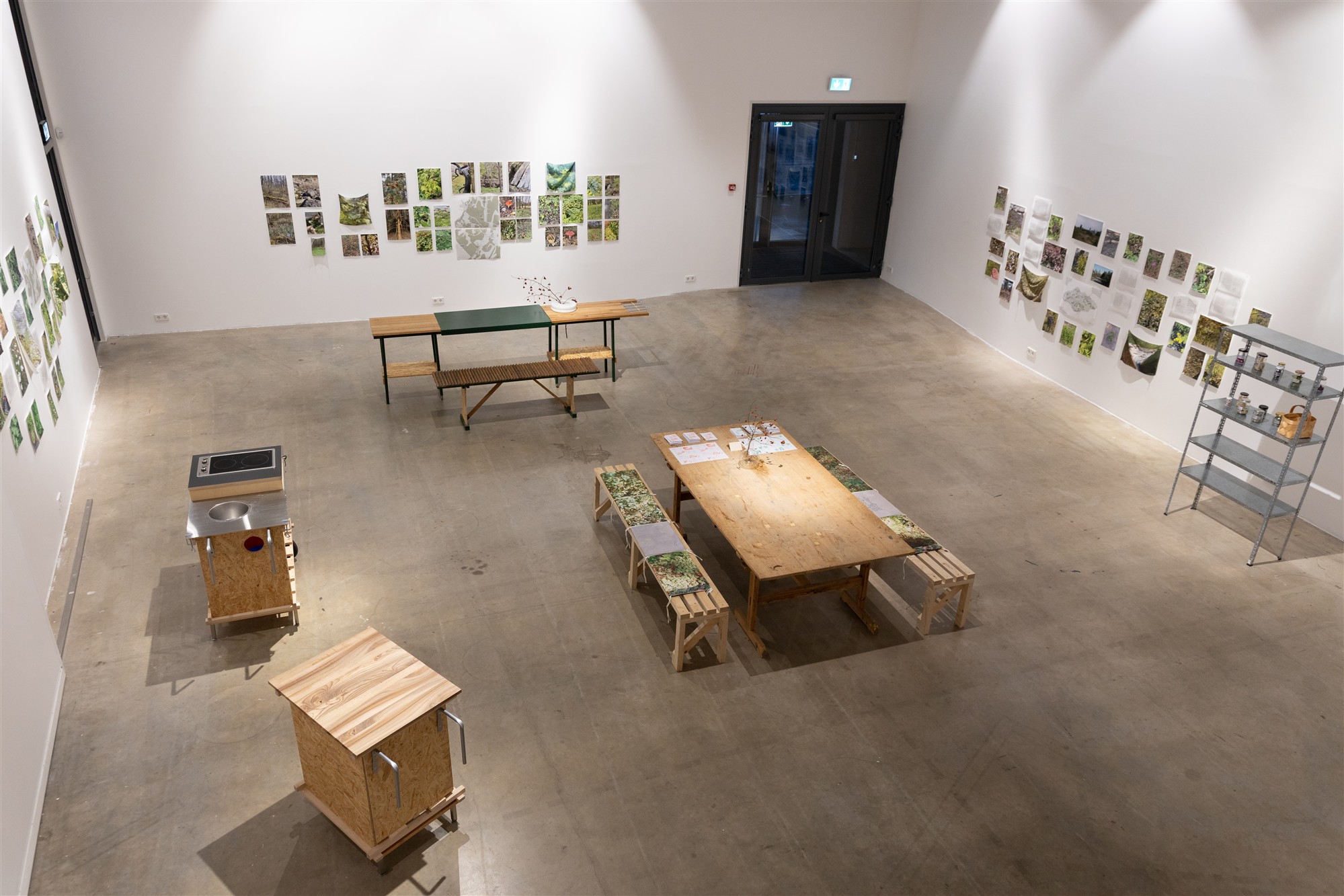 Ei jõua vilju kokku korjata