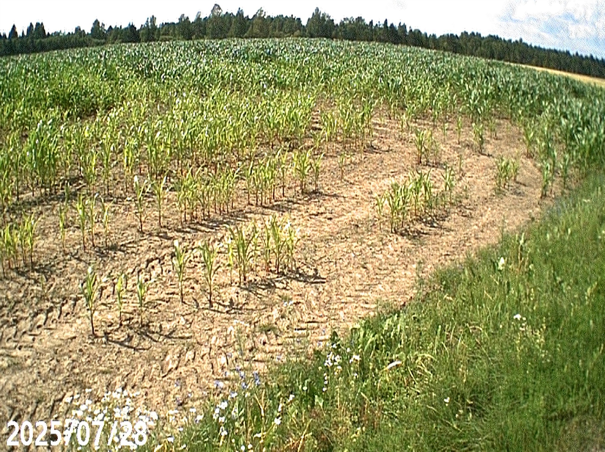 Maa kliima sõltub mullast