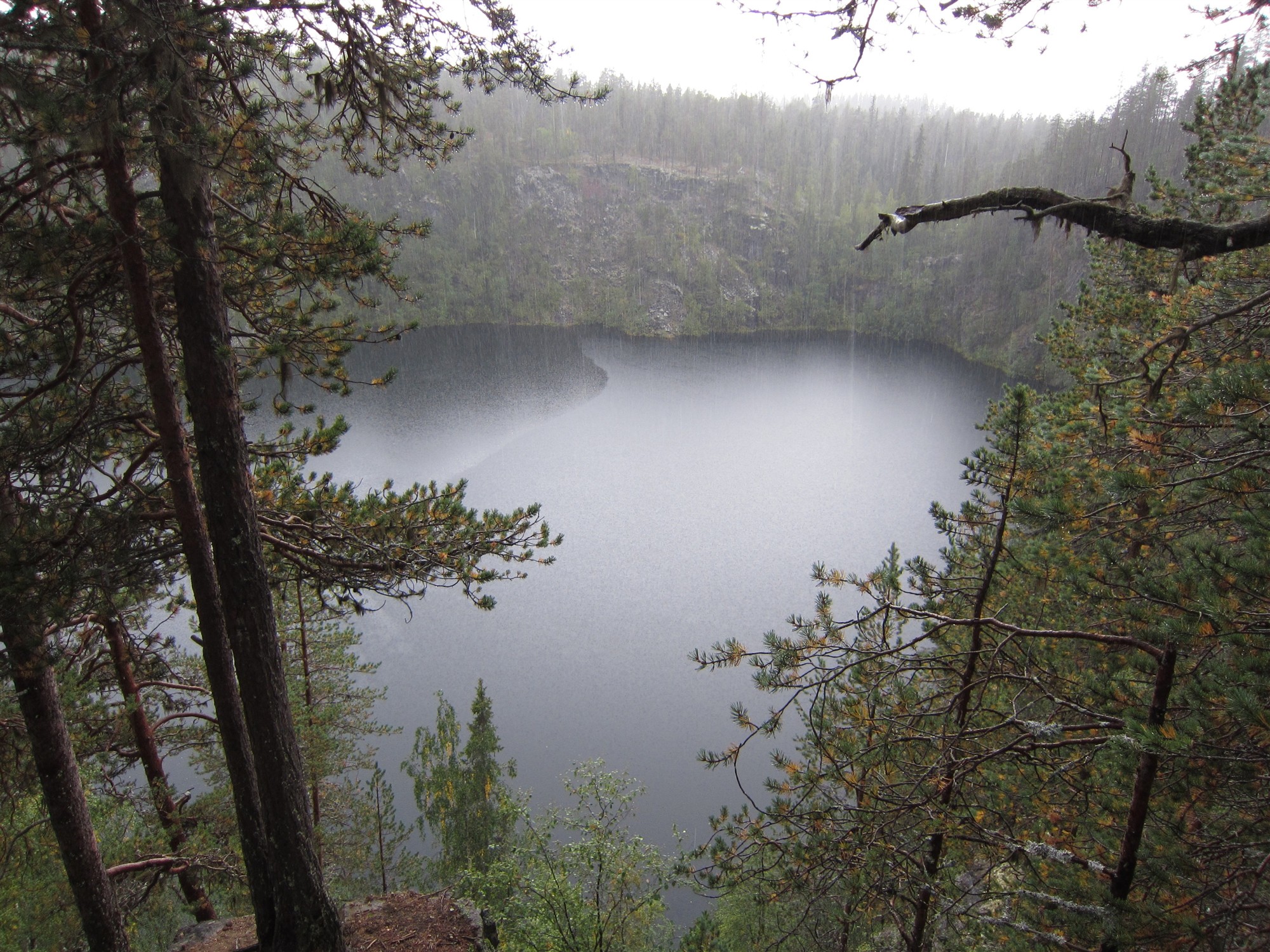 Metsaüksiklased ehk Üksindusest väljapääs on väljapääs loodusesse